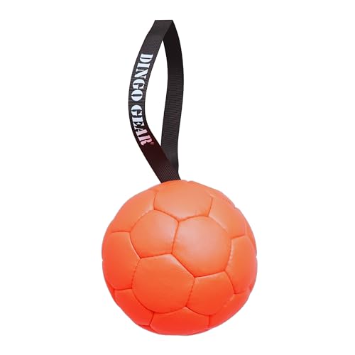 Dingo Gear Ball mit Schlaufe gefüllt vollball aus Eco Leder Durchmesser von 18 cm Hundespielzeug Trainings Ball Hundetraining Spaß für Hund Orange S02698 Dingo Gear Ball mit Schlaufe gefüllt vollball aus Eco Leder Durchmesser von 18 cm Hundespielzeug Trainings Ball Hundetraining Spaß für Hund Orange S02698 von DINGO GEAR WWW.DINGOGEAR.COM 1977