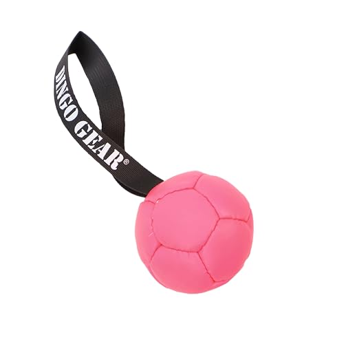 Dingo Gear Ball mit Schlaufe gefüllt vollball aus Eco Leder Durchmesser von 8 cm Hundespielzeug Trainings Ball Hundetraining Spaß für Hund Rosa S02681 Dingo Gear Ball mit Schlaufe gefüllt vollball aus Eco Leder Durchmesser von 8 cm Hundespielzeug Trainings Ball Hundetraining Spaß für Hund Rosa S02681 von DINGO GEAR WWW.DINGOGEAR.COM 1977