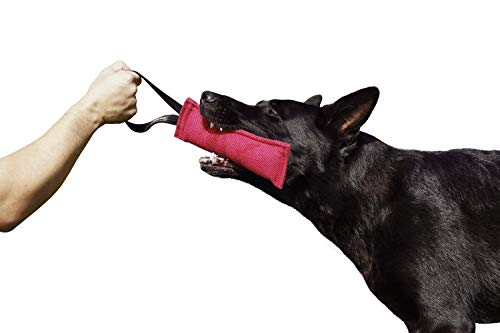 Dingo Gear Baumwolle-Nylon Beißwurst für Hundetraining IGP IPO Obiedence Schutzhund Hundesport, 20 x 7 cm, 1 Griff Rosa S00308 Dingo Gear Baumwolle-Nylon Beißwurst für Hundetraining IGP IPO Obiedence Schutzhund Hundesport, 20 x 7 cm, 1 Griff Rosa S00308 von DINGO GEAR WWW.DINGOGEAR.COM 1977