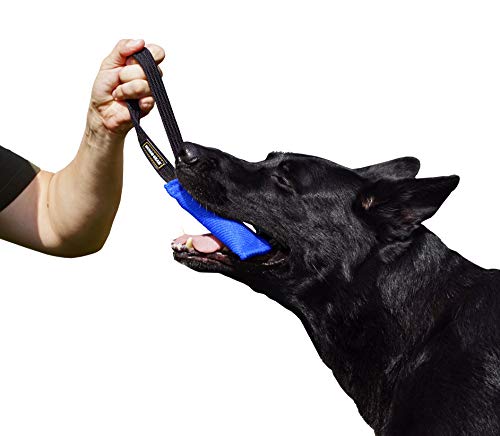 Dingo Gear Baumwolle-Nylon Beißwurst für Hundetraining IGP IPO Obiedence Schutzhund Hundesport, 15 x 5 cm, 1 Griff Blau S00060 von DINGO GEAR WWW.DINGOGEAR.COM 1977