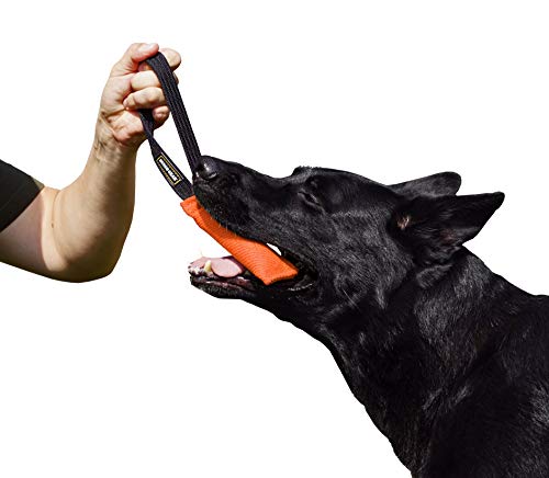 Dingo Gear Baumwolle-Nylon Beißwurst für Hundetraining K9 IGP IPO Obiedence Schutzhund Hundesport, 15 x 5 cm, 1 Griff Orange S00081 von DINGO GEAR WWW.DINGOGEAR.COM 1977
