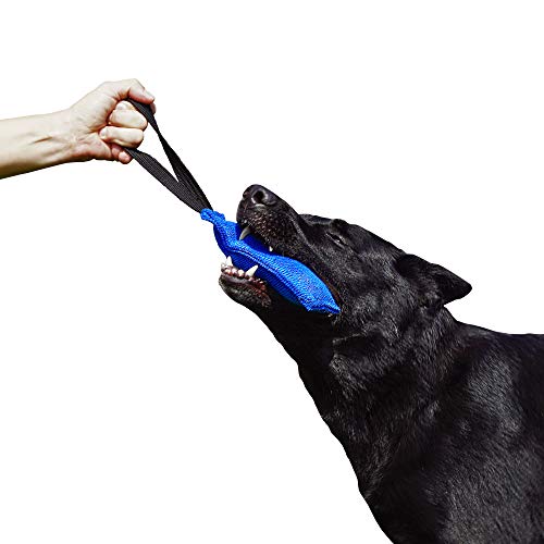 Dingo Gear Baumwolle-Nylon Beißwurst für Hundetraining IGP IPO Obiedence Schutzhund Hundesport 20 x 7 cm, 1 Griff Blau S00071 von DINGO GEAR WWW.DINGOGEAR.COM 1977