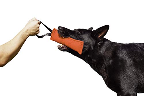 Dingo Gear Baumwolle-Nylon Beißwurst für Hundetraining IGP IPO Obiedence Schutzhund Hundesport, 20 x 7 cm 1 Griff Orange S00086 von DINGO GEAR WWW.DINGOGEAR.COM 1977