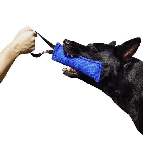 Dingo Gear Baumwolle-Nylon Beißwurst für Hundetraining IGP IPO Obiedence Schutzhund Hundesport, 28 x 7 cm 1 Griff Blau S00061 von DINGO GEAR WWW.DINGOGEAR.COM 1977
