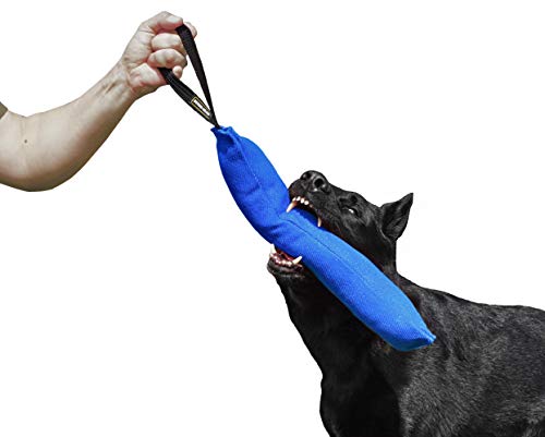 Dingo Gear Baumwolle-Nylon Beißwurst für Hundetraining IGP IPO Obiedence Schutzhund Hundesport, 45 x 8 cm, 1 Griff Blau S00066 Dingo Gear Baumwolle-Nylon Beißwurst für Hundetraining IGP IPO Obiedence Schutzhund Hundesport, 45 x 8 cm, 1 Griff Blau S00066 von DINGO GEAR WWW.DINGOGEAR.COM 1977