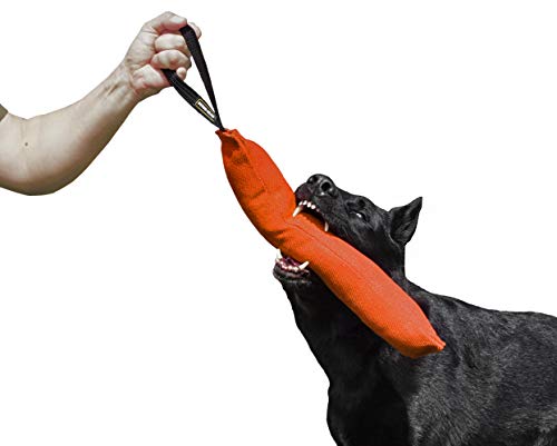 Dingo Gear Baumwolle-Nylon Beißwurst für Hundetraining K9 IGP IPO Obiedence Schutzhund Hundesport, 45 x 8 cm, 1 Griff Orange S00084 von DINGO GEAR WWW.DINGOGEAR.COM 1977