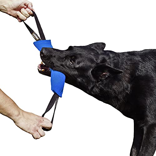 Dingo Gear Baumwolle-Nylon Beißwurst für Hundetraining K9 IGP IPO Obiedence Schutzhund Hundesport, 28 x 7 cm, 2 Griffen Blau S00063 von DINGO GEAR WWW.DINGOGEAR.COM 1977