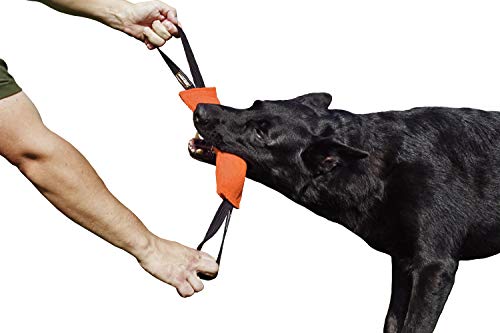 Dingo Gear Baumwolle-Nylon Beißwurst für Hundetraining K9 IGP IPO Obiedence Schutzhund Hundesport 28 x 7 cm, 2 Griffen Orange S00083 von DINGO GEAR WWW.DINGOGEAR.COM 1977