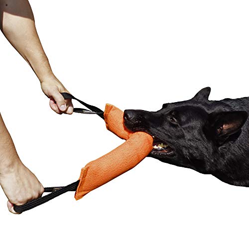 Dingo Gear Baumwolle-Nylon Beißwurst für Hundetraining IGP IPO Obiedence Schutzhund Hundesport, 45 x 8 cm, 2 Griffen Orange S00085 von DINGO GEAR WWW.DINGOGEAR.COM 1977
