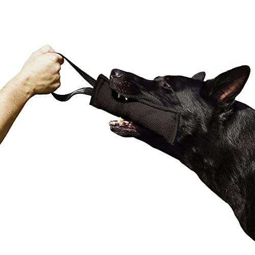 Dingo Gear Baumwolle-Nylon Beißwurst für Hundetraining IGP IPO Obiedence Schutzhund Hundesport 28 x 7 cm 1 Griff Schwarz S00073 Dingo Gear Baumwolle-Nylon Beißwurst für Hundetraining IGP IPO Obiedence Schutzhund Hundesport 28 x 7 cm 1 Griff Schwarz S00073 von DINGO GEAR WWW.DINGOGEAR.COM 1977