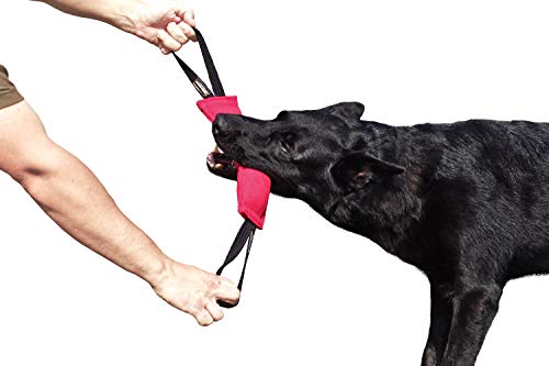 Dingo Gear Baumwolle-Nylon Beißwurst für Hundetraining IGP IPO Obiedence Schutzhund Hundesport, 28 x 7 cm, 2 Griffen Rosa S00311 von DINGO GEAR WWW.DINGOGEAR.COM 1977