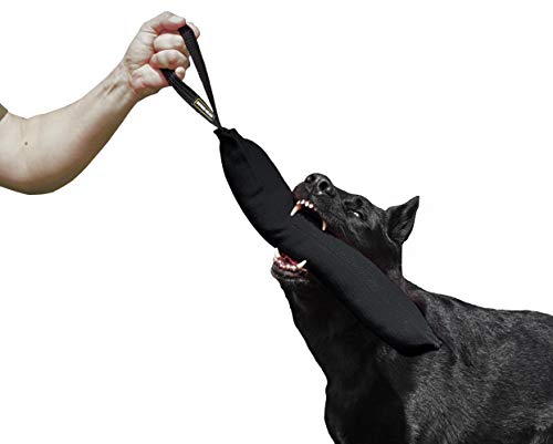Dingo Gear Baumwolle-Nylon Beißwurst für Hundetraining IGP IPO Obiedence Schutzhund Hundesport 45 x 8 cm, 1 Griff Schwarz S00075 Dingo Gear Baumwolle-Nylon Beißwurst für Hundetraining IGP IPO Obiedence Schutzhund Hundesport 45 x 8 cm, 1 Griff Schwarz S00075 von DINGO GEAR WWW.DINGOGEAR.COM 1977