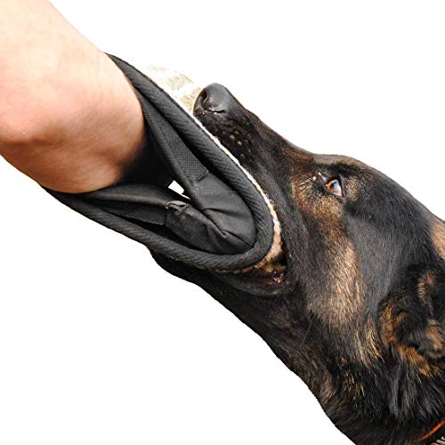 Dingo Gear Beißkissen aus Jute Keilform Gizmo Ausbildung IGP IPO Hundetraining S00516 Dingo Gear Beißkissen aus Jute Keilform Gizmo Ausbildung IGP IPO Hundetraining S00516 von DINGO GEAR WWW.DINGOGEAR.COM 1977