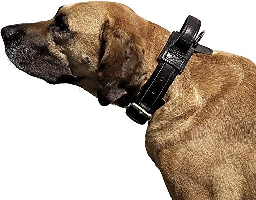 Dingo Gear Gummierte metallmaulkorbe K9 für Hund Boxer Hündin Professionelle Bequeme universelles Produkt für Langen Spaziergängen S03043 