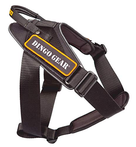 Dingo Gear Hundearbeitsgeschirr aus Stylonband Schwarz Große XL Spaziergängen, Patrouillen sowie Trainings S03201 von DINGO GEAR WWW.DINGOGEAR.COM 1977