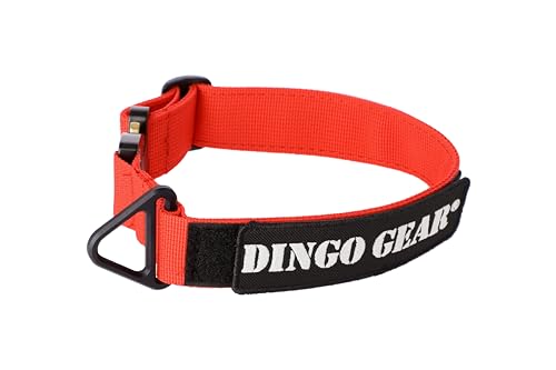Dingo Gear Hundehalsband Cobra mit professioneller Sicherheitsschnalle und Etikett mit Klettverschluss zuverlässiges Halsband für Verteidigungstraining Halsumfang 38-48 cm Rot (S03933) von DINGO GEAR WWW.DINGOGEAR.COM 1977