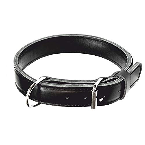 Dingo Gear Hundehalsband Leder MAX Extrem stark und langlebig Schwarz Große 40-48 cm S04030 Dingo Gear Hundehalsband Leder MAX Extrem stark und langlebig Schwarz Große 40-48 cm S04030 von DINGO GEAR WWW.DINGOGEAR.COM 1977