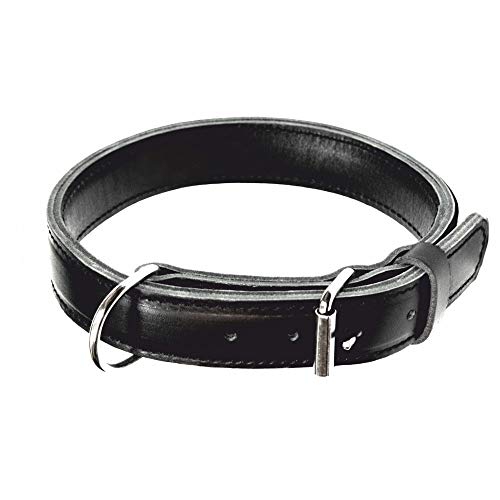 Dingo Gear Hundehalsband Leder MAX Extrem stark und langlebig Schwarz Große 48-56 cm S04031 von DINGO GEAR WWW.DINGOGEAR.COM 1977