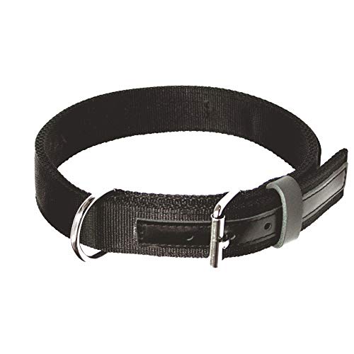 Dingo Gear Hundehalsband aus Band MAX Extrem stark und langlebig Schwarz Große 40-48 cm S04033 von DINGO GEAR WWW.DINGOGEAR.COM 1977