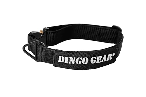 Dingo Gear Hundehalsband mit Cobra Schnalle, Farbe Schwarz, Band Breite 4 cm Länge 38-48 cm S04028 Dingo Gear Hundehalsband mit Cobra Schnalle, Farbe Schwarz, Band Breite 4 cm Länge 38-48 cm S04028 von DINGO GEAR WWW.DINGOGEAR.COM 1977