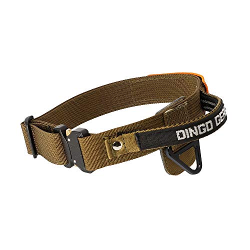 Dingo Gear Hundehalsband mit Cobra Schnalle und Griff, Farbe Coyote Braun, Band Breite 4 cm Länge 43-47 cm S03130 von DINGO GEAR WWW.DINGOGEAR.COM 1977