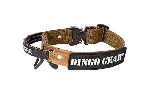 Dingo Gear Hundehalsband mit Cobra Schnalle und Griff, Farbe Coyote Braun, Band Breite 4 cm Länge 52-64 cm S03131 Dingo Gear Hundehalsband mit Cobra Schnalle und Griff, Farbe Coyote Braun, Band Breite 4 cm Länge 52-64 cm S03131 von DINGO GEAR WWW.DINGOGEAR.COM 1977