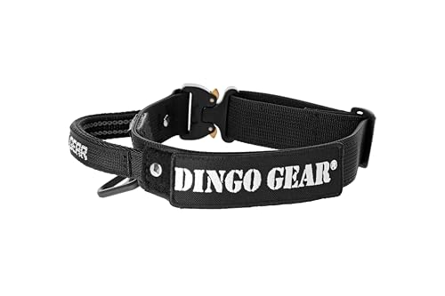 Dingo Gear Hundehalsband mit Cobra Schnalle und Griff, Farbe Schwarz, Band Breite 4 cm Länge 49-59 cm S04027 von DINGO GEAR WWW.DINGOGEAR.COM 1977