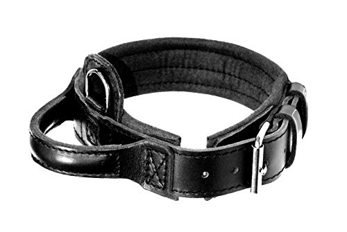 Dingo Gear Lederhalsband für Hund ''Drago'' Amortisiert Schwarz mit Griff Handgefertigt S04020, 40-48 cm von DINGO GEAR WWW.DINGOGEAR.COM 1977