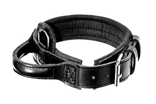 Dingo Gear Lederhalsband für Hund ''Drago'' Amortisiert Schwarz mit Griff Handgefertigt S04021, 48-56 cm von DINGO GEAR WWW.DINGOGEAR.COM 1977