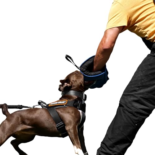 Dingo Gear Schutzarm Extern Mini Soft Weich aus Nylcot Blau Bissmanschette Hundeausbildung Hundetraining Bisstraining S01962 Dingo Gear Schutzarm Extern Mini Soft Weich aus Nylcot Blau Bissmanschette Hundeausbildung Hundetraining Bisstraining S01962 von DINGO GEAR WWW.DINGOGEAR.COM 1977