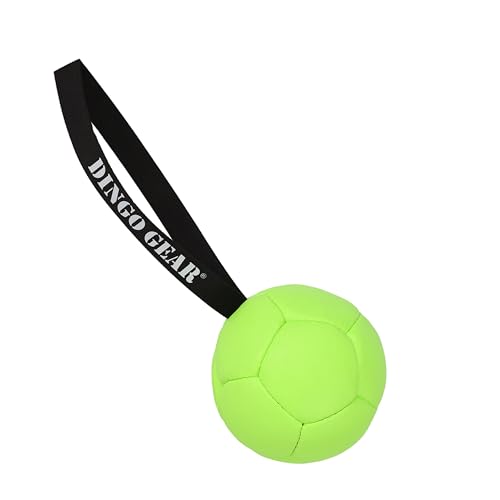 Dingo Gear Set Ball aufblasbarer mit Pumpe Ball mit Schlaufe aus Eco Leder Durchmesser von 13 cm Hundespielzeug Training Spaß für Hund Grün Neon Z30032 Dingo Gear Set Ball aufblasbarer mit Pumpe Ball mit Schlaufe aus Eco Leder Durchmesser von 13 cm Hundespielzeug Training Spaß für Hund Grün Neon Z30032 von DINGO GEAR WWW.DINGOGEAR.COM 1977