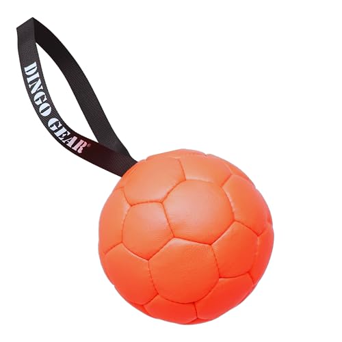 Dingo Gear Set Ball aufblasbarer mit Pumpe Ball mit Schlaufe aus Eco Leder Durchmesser von 18 cm Hundespielzeug Training Spaß für Hund Orange Z30033 Dingo Gear Set Ball aufblasbarer mit Pumpe Ball mit Schlaufe aus Eco Leder Durchmesser von 18 cm Hundespielzeug Training Spaß für Hund Orange Z30033 von DINGO GEAR WWW.DINGOGEAR.COM 1977