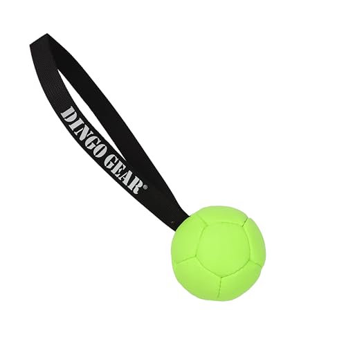 Dingo Gear Set Ball aufblasbarer mit Pumpe Ball mit Schlaufe aus Eco Leder Durchmesser von 8 cm Hundespielzeug Training Spaß für Hund Grün Neon Z30030 Dingo Gear Set Ball aufblasbarer mit Pumpe Ball mit Schlaufe aus Eco Leder Durchmesser von 8 cm Hundespielzeug Training Spaß für Hund Grün Neon Z30030 von DINGO GEAR WWW.DINGOGEAR.COM 1977