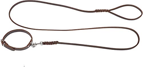 Dingo Gear Set Braune Leine und Halsband für Welpen- Leine 0,8 cm x 180 cm Hundehalsbänder 1,6 x 41 cm S03733 von DINGO GEAR WWW.DINGOGEAR.COM 1977