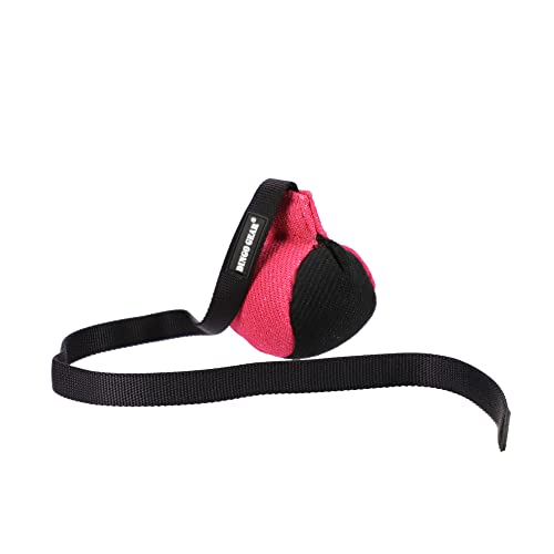 Dingo Gear Trainings-Spielzeug Bäll 9 cm Schwarz-Rosa mit Griff 65 cm French-Material Nylcott Training Spiel Apport IGP K9 Obedience S02816 von DINGO GEAR WWW.DINGOGEAR.COM 1977