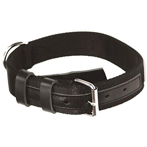 Dingo Gear Zivilist Halsband aus Band Schwarz Große 48-56 cm S04044 von DINGO GEAR WWW.DINGOGEAR.COM 1977