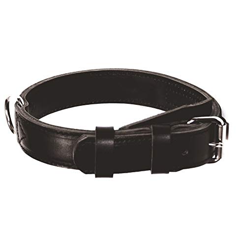 Dingo Gear Zivilist Halsband aus Leder Schwarz Rindsleder Große 48-56 cm S04041 Dingo Gear Zivilist Halsband aus Leder Schwarz Rindsleder Große 48-56 cm S04041 von DINGO GEAR WWW.DINGOGEAR.COM 1977