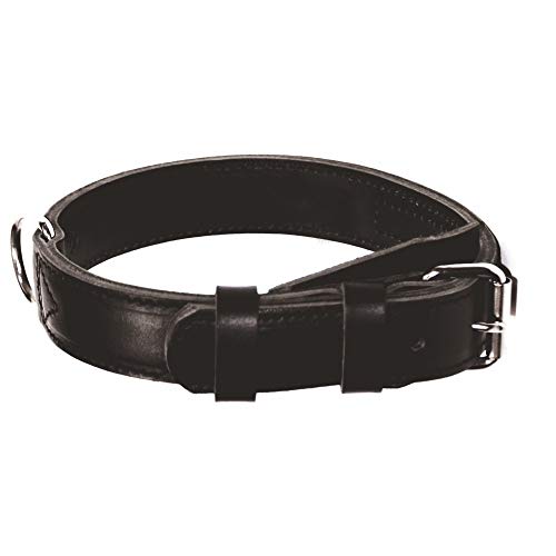 Dingo Gear Zivilist Halsband aus Leder Schwarz Rindsleder Große 48-56 cm S04041 von DINGO GEAR WWW.DINGOGEAR.COM 1977