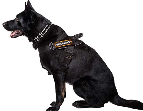 Dingo Gear Geschirr für Hunde in der Arbeit Große XL Training IPO Cobra System handgefertigt Schwarz S03197 von DINGO GEAR WWW.DINGOGEAR.COM 1977