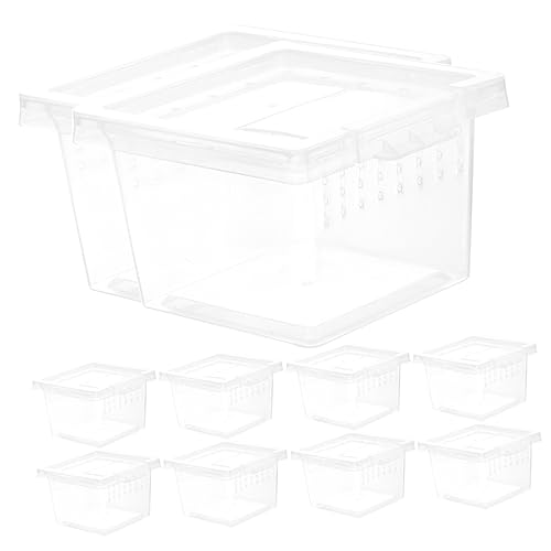 DINHEAROM 10Stücke Reptilien Fütterungsbox Transparente Terrarium Zuchtbox für Insekten Atmungsaktive Habitat Box für Eidechsen Frösche Skorpione und Kleine Schildkröten DINHEAROM 10Stücke Reptilien Fütterungsbox Transparente Terrarium Zuchtbox für Insekten Atmungsaktive Habitat Box für Eidechsen Frösche Skorpione und Kleine Schildkröten von DINHEAROM