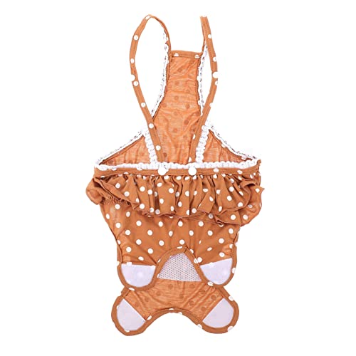 DINHEAROM 1Stück Hundewindel für Hündinnen Atmungsaktive und Waschbare Haustierhose mit Süßem Punktmuster für Menstruation und Inkontinenz für Weibliche Hält von DINHEAROM
