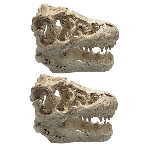 DINHEAROM 2 Stück Dinosaurier Harz Schädel Skelett Licht Schildkröten -backenplattform Dinosaurier-schädel-Handwerk Unterstand Für Fischbecken Aquarium-versteck- Fischversteck Höhle Hai von DINHEAROM