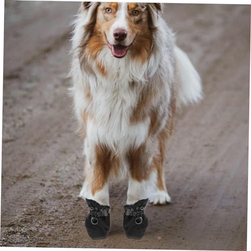 DINHEAROM 4 Stück Teiliges Atmungsaktive wasserdichte Haustier Hundeschuhe mit Rutschfester Reflektierender Sohle Weiche Pfotenschoner für Mittlere Hunde Sicherer Drinnen und Draußen DINHEAROM 4 Stück Teiliges Atmungsaktive wasserdichte Haustier Hundeschuhe mit Rutschfester Reflektierender Sohle Weiche Pfotenschoner für Mittlere Hunde Sicherer Drinnen und Draußen von DINHEAROM