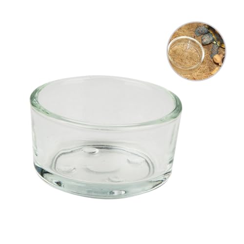 DINHEAROM 4stücke Teiliges Pet Reptilien Futter Und Wassernapf Transparente Glas-schüssel Für Schildkröten Eidechsen Und Andere Reptilien Langlebig Und Leicht Zu Reinigen Für Futter Und von DINHEAROM