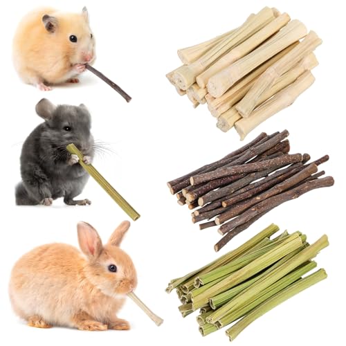 DINHEAROM 55 Stück Beißstäbchen Für Kleintiere Rennmäuse Hamster Kaninchen Streu Kaninchen Haustiere Zum Aufhängen Chinchillas Häschen Kauspielzeug Kuschelratte von DINHEAROM