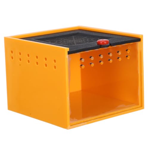 DINHEAROM Acrylic Spider Habitat Box Compact Terrarium for Springspiders Easy Clean Insect Breeding Container for Reptiles and DINHEAROM Acrylic Spider Habitat Box Compact Terrarium for Springspiders Easy Clean Insect Breeding Container for Reptiles and von DINHEAROM