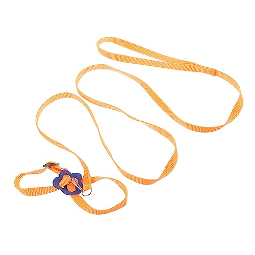 DINHEAROM Eidechsenleine Futterspender Für Käfig Bärtige Reptilienleinen Kleine Tierleinen Gecko Zubehör Für Meerschweinchen Frettchen Haustierzubehör Nylon Orange DINHEAROM Eidechsenleine Futterspender Für Käfig Bärtige Reptilienleinen Kleine Tierleinen Gecko Zubehör Für Meerschweinchen Frettchen Haustierzubehör Nylon Orange von DINHEAROM