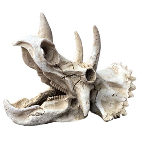DINHEAROM Fischtank Dekoration Dinosaurierschädel Ornament für Garnelenversteck Lebensechte Aquarium Landschaftsdekoration aus Hochwertigem Harz und Sicher für Kleine Fische DINHEAROM Fischtank Dekoration Dinosaurierschädel Ornament für Garnelenversteck Lebensechte Aquarium Landschaftsdekoration aus Hochwertigem Harz und Sicher für Kleine Fische von DINHEAROM