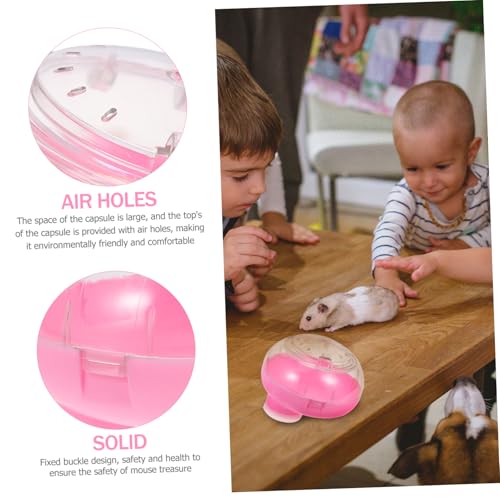 DINHEAROM Hamster Sandbad Box aus Hochwertigem Kunststoff Stabiler Hamsterbadecontainer mit Rutschfestem Boden Abnehmbar und Leicht zu Reinigen Geeignet für Hamster und Kleine Nager im von DINHEAROM