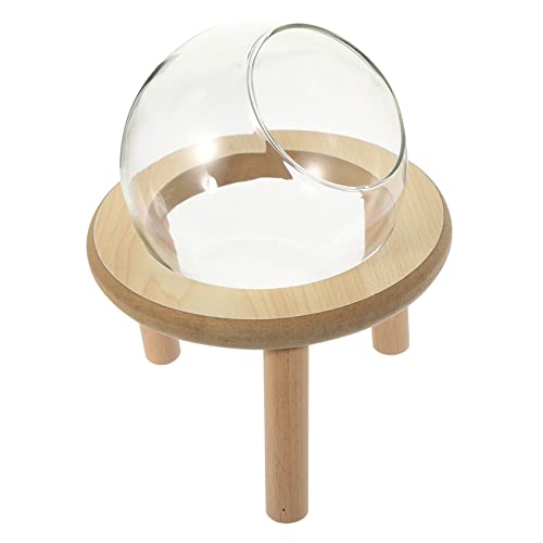 DINHEAROM Hamsterbadewanne aus Hochwertigem Material Badezimmer Accessoire für Kleine Haustiere zu Reinigen Stilvolles Design für Hamster DINHEAROM Hamsterbadewanne aus Hochwertigem Material Badezimmer Accessoire für Kleine Haustiere zu Reinigen Stilvolles Design für Hamster von DINHEAROM